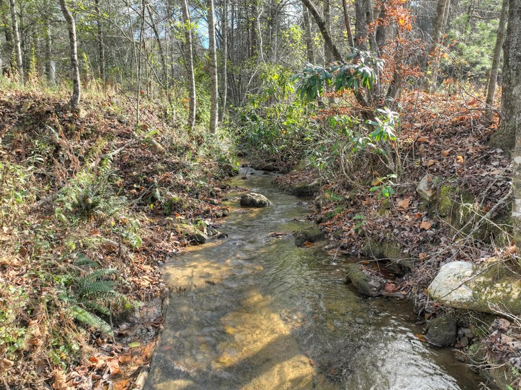203 Buck Creek Trail, Epworth GA 30541 - Photo