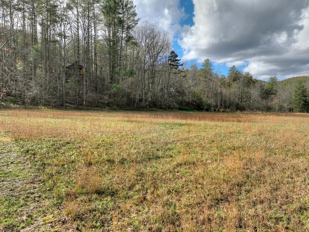 203 Buck Creek Trail, Epworth GA 30541 - Photo