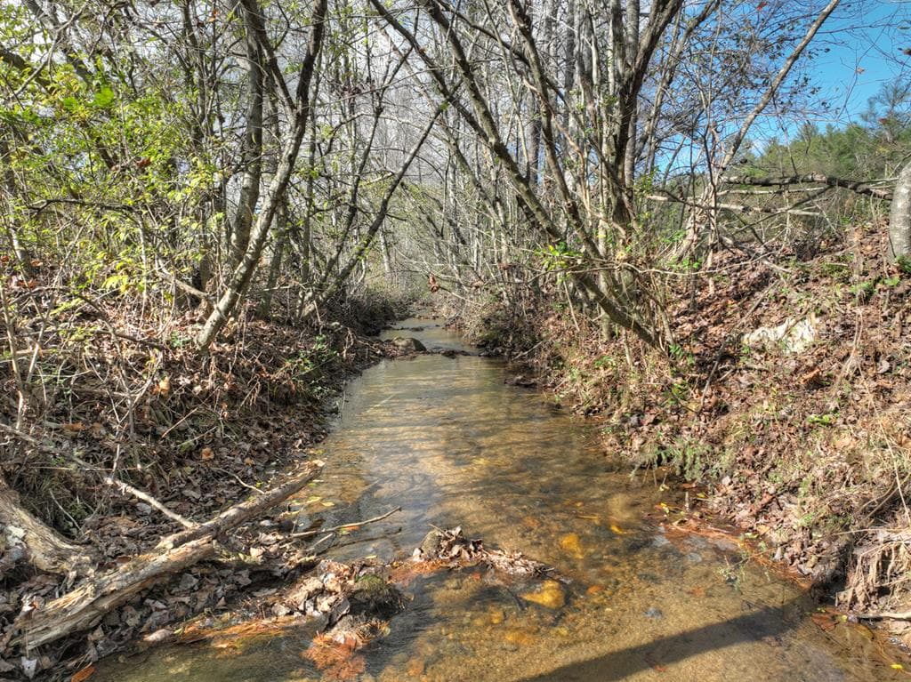 203 Buck Creek Trail, Epworth GA 30541 - Photo