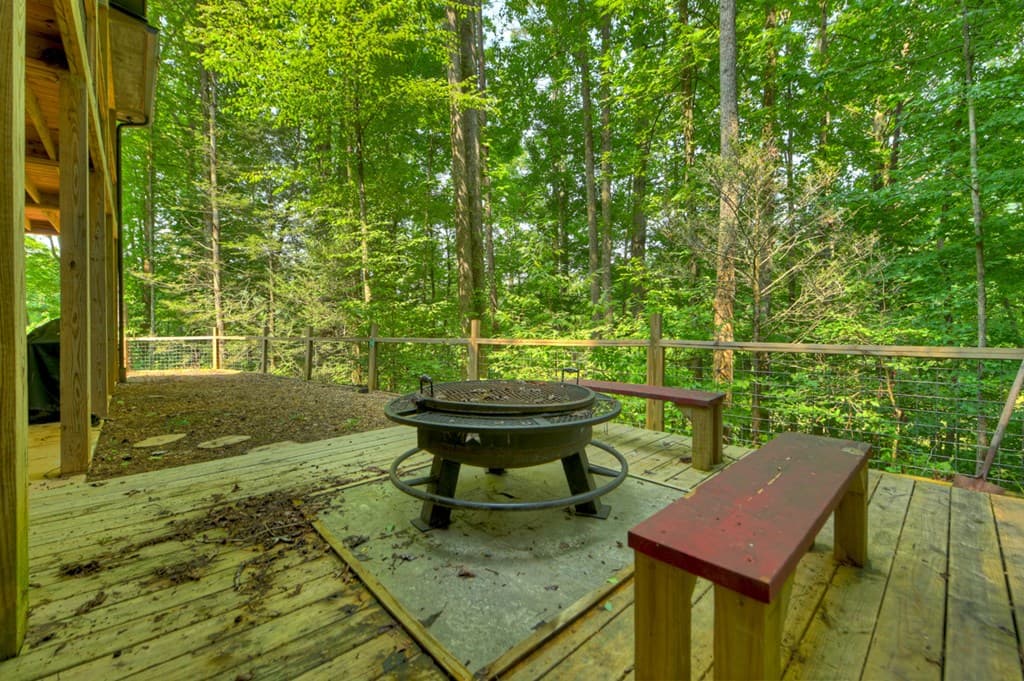 203 Buck Creek Trail, Epworth GA 30541 - Photo