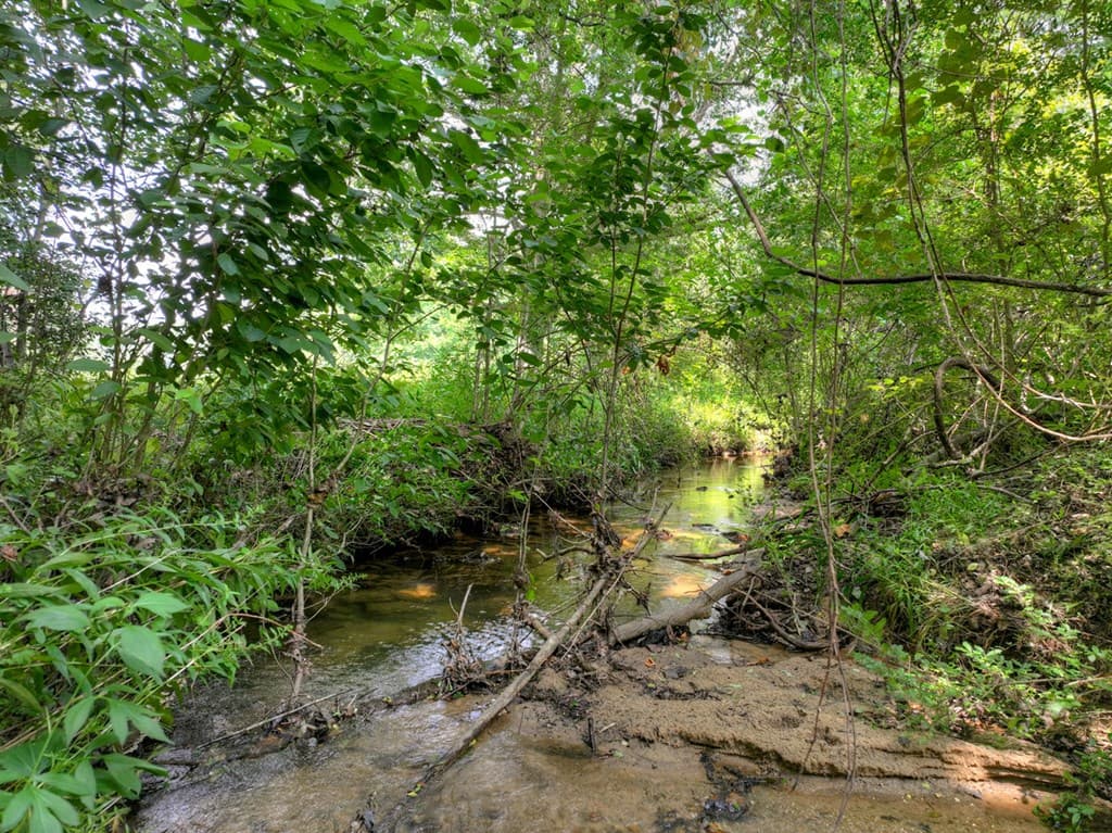 1779 Madola Road, Epworth GA 30541 - Photo