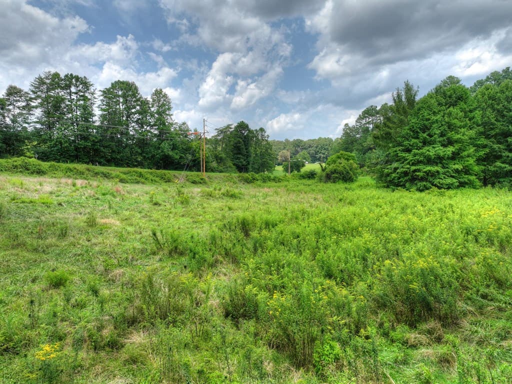 1779 Madola Road, Epworth GA 30541 - Photo