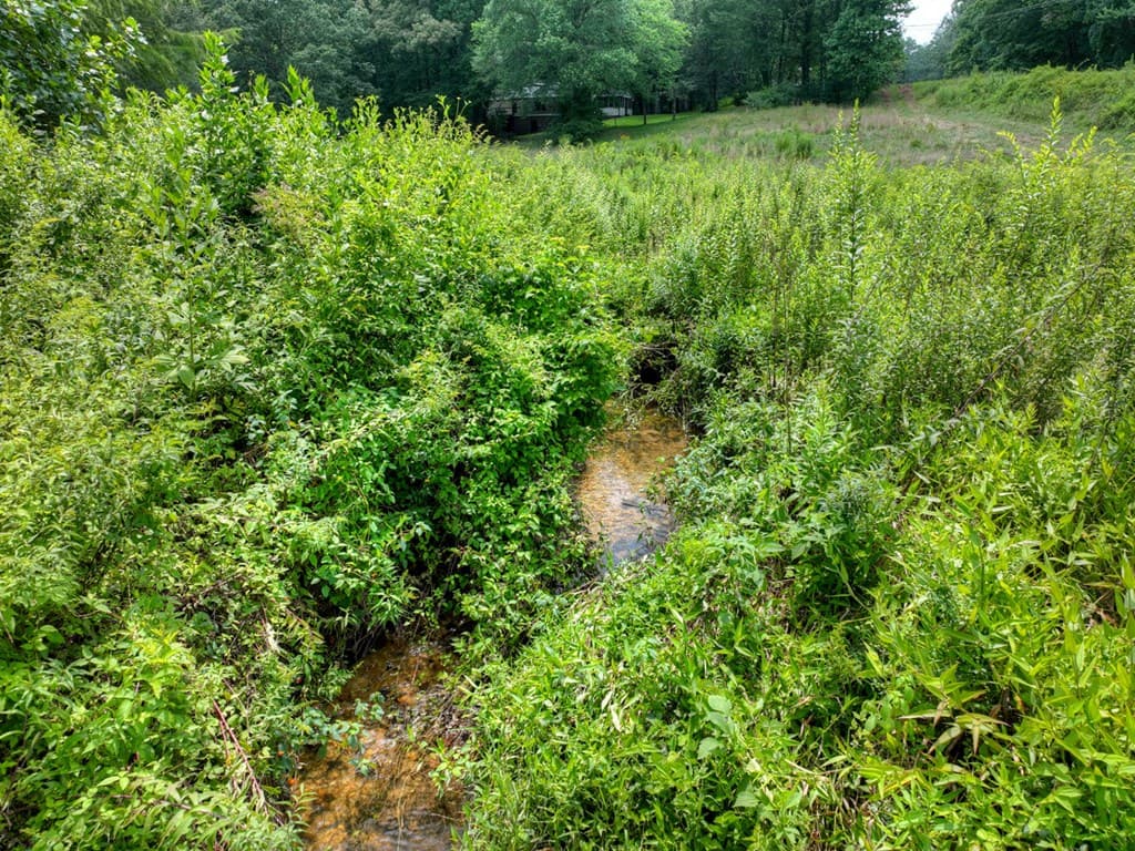 1779 Madola Road, Epworth GA 30541 - Photo
