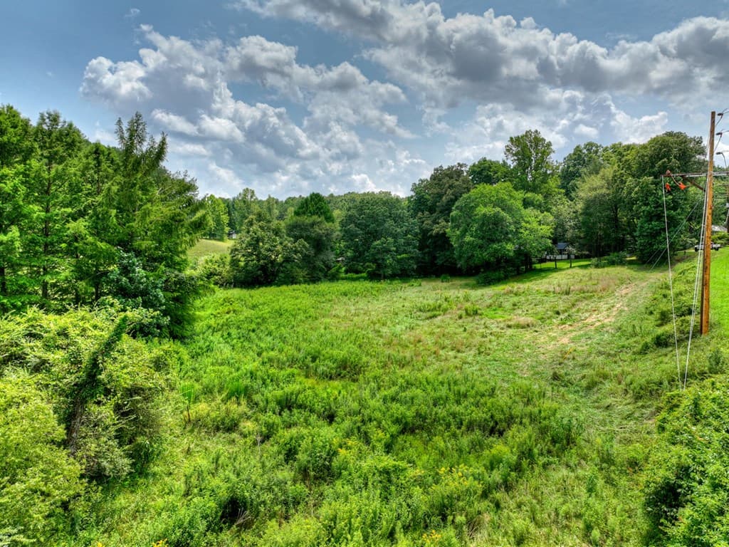 1779 Madola Road, Epworth GA 30541 - Photo
