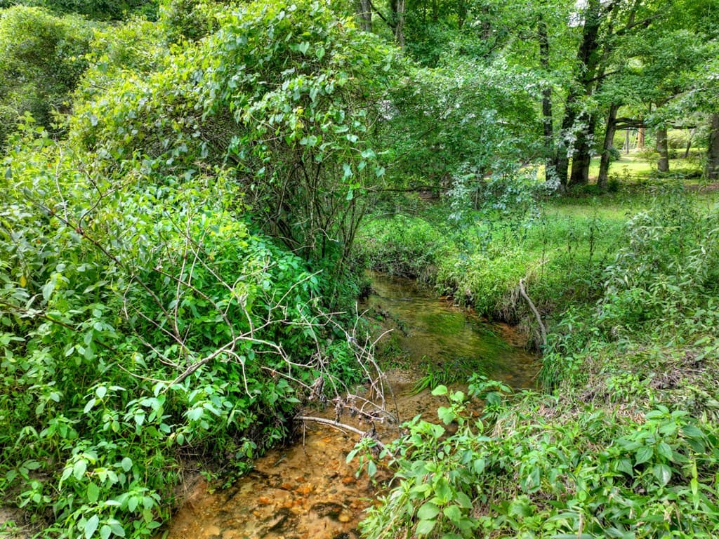 1779 Madola Road, Epworth GA 30541 - Photo