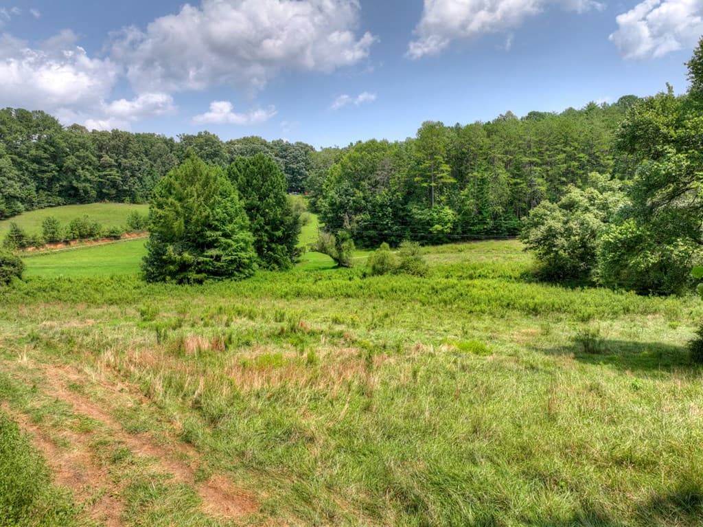 1779 Madola Road, Epworth GA 30541 - Photo
