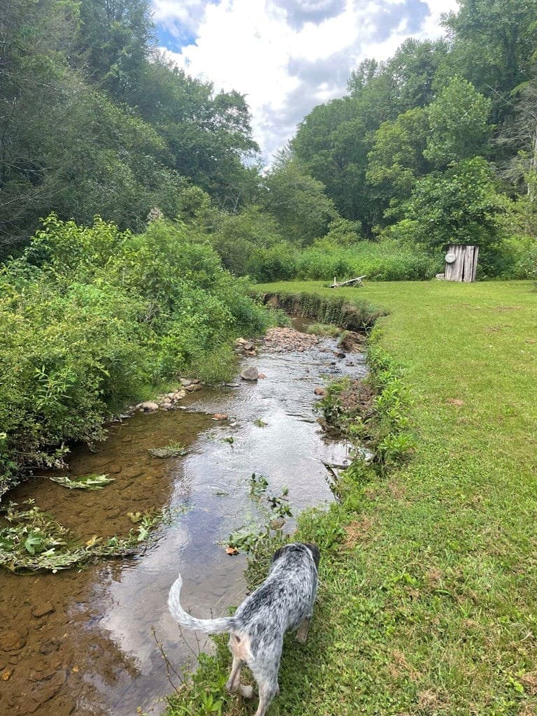 129 Old Slow Creek, Marble NC 28905 - Photo