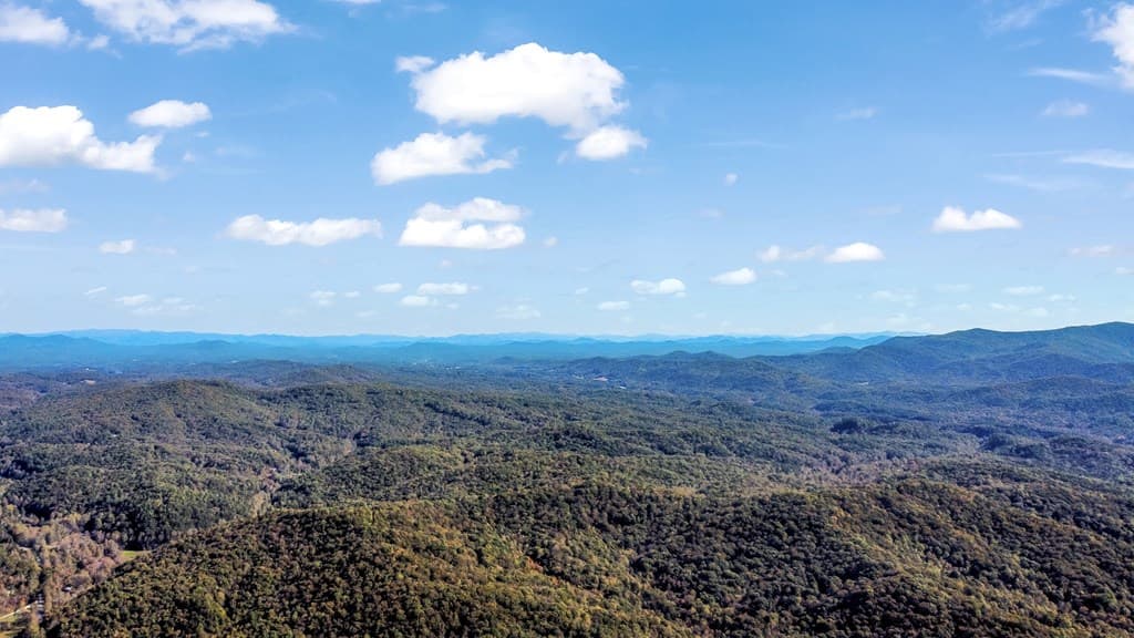 55 Mount Pleasant Drive, Ellijay GA 30540 - Photo