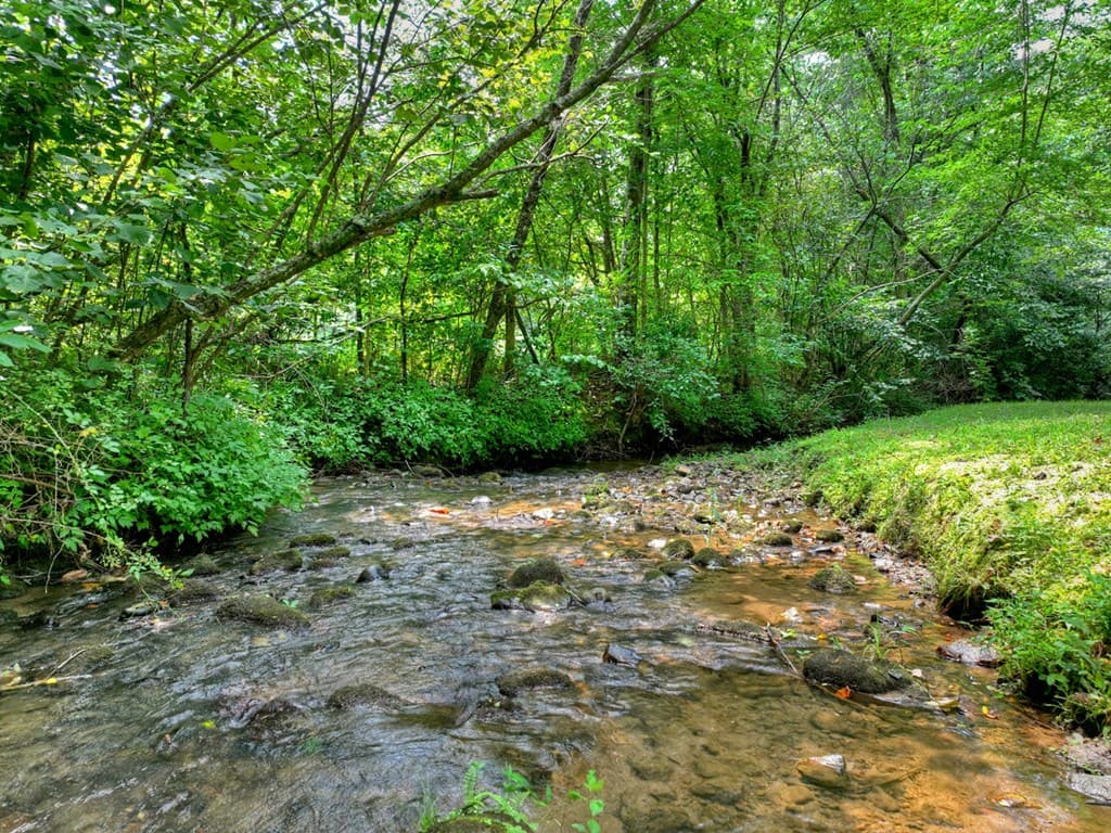 100 Wing Circle, Ellijay GA 30536 - Photo