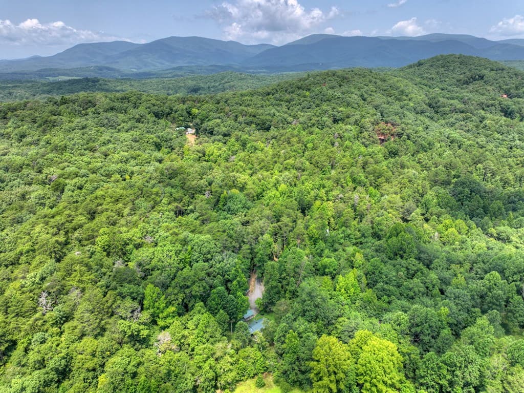 100 Wing Circle, Ellijay GA 30536 - Photo