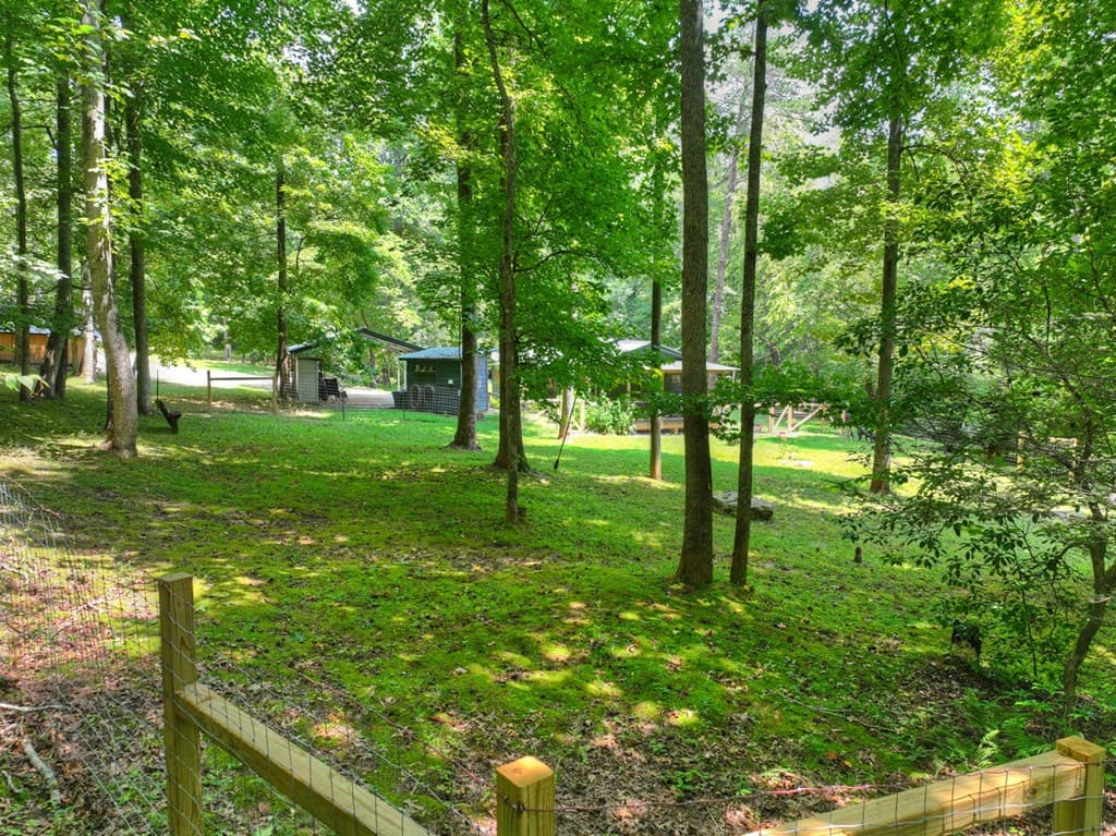 100 Wing Circle, Ellijay GA 30536 - Photo