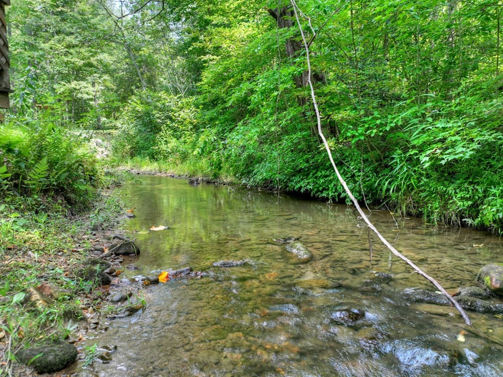 100 Wing Circle, Ellijay GA 30536 - Photo