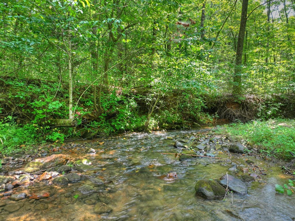 100 Wing Circle, Ellijay GA 30536 - Photo