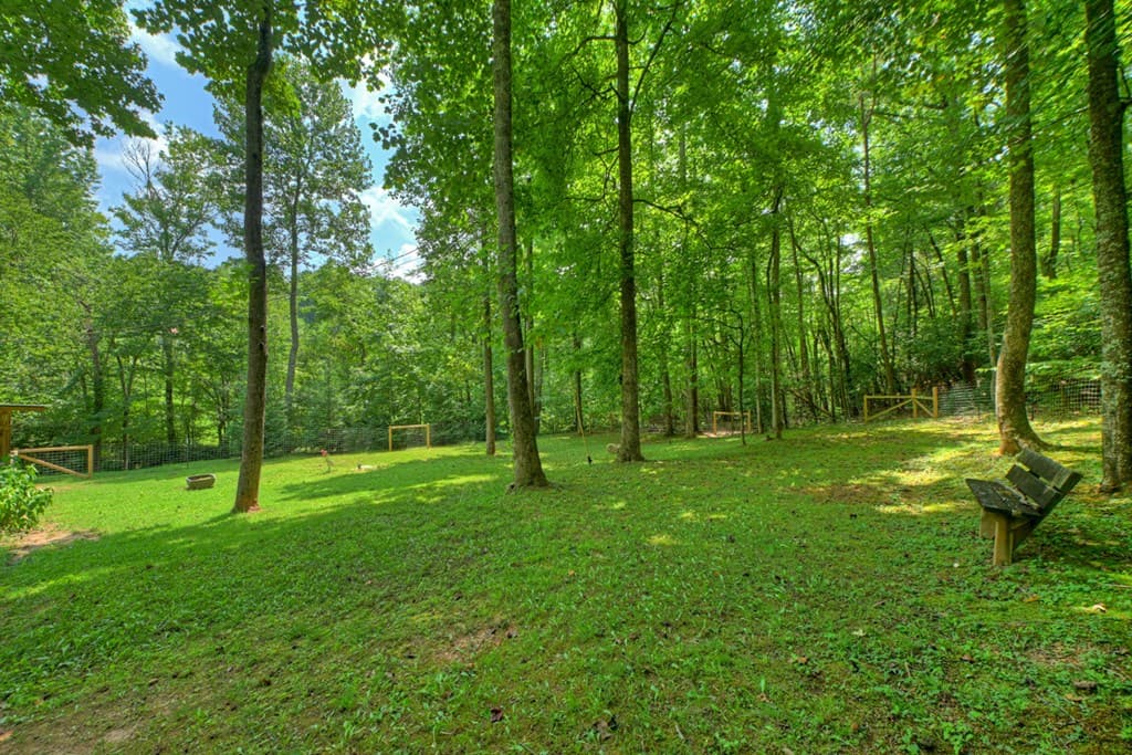 100 Wing Circle, Ellijay GA 30536 - Photo