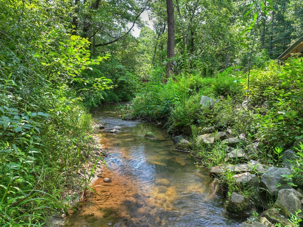 100 Wing Circle, Ellijay GA 30536 - Photo