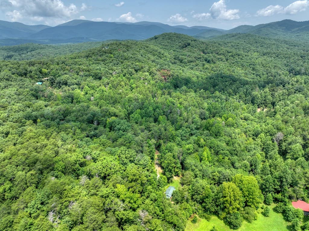 100 Wing Circle, Ellijay GA 30536 - Photo