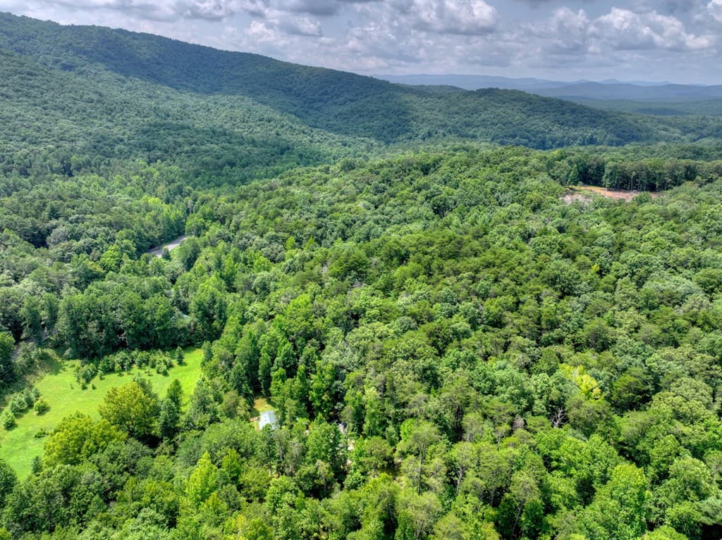 100 Wing Circle, Ellijay GA 30536 - Photo