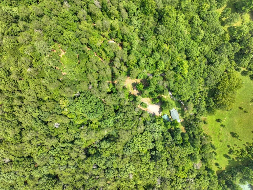 100 Wing Circle, Ellijay GA 30536 - Photo