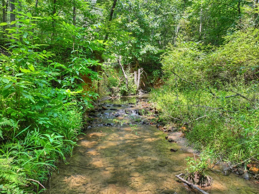 100 Wing Circle, Ellijay GA 30536 - Photo