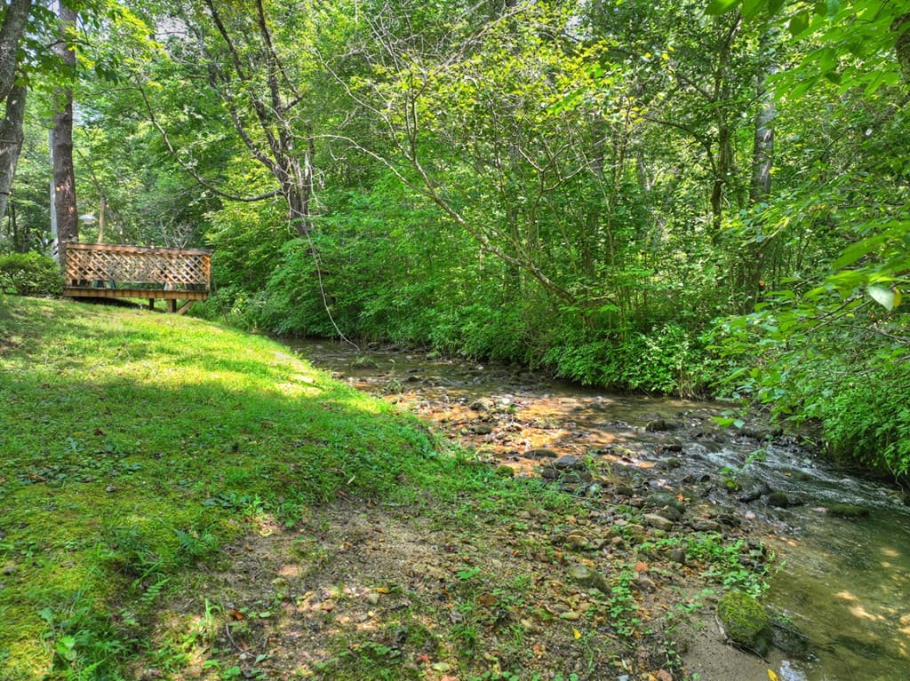 100 Wing Circle, Ellijay GA 30536 - Photo