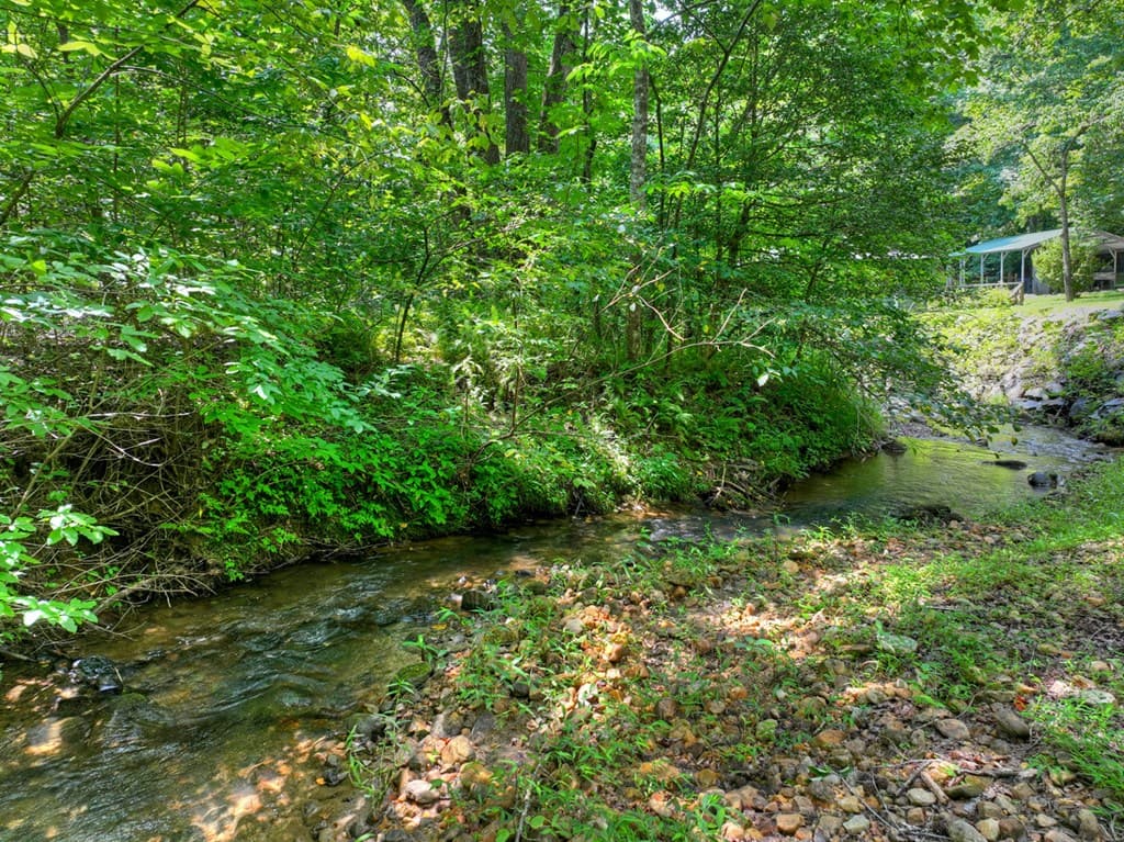 100 Wing Circle, Ellijay GA 30536 - Photo