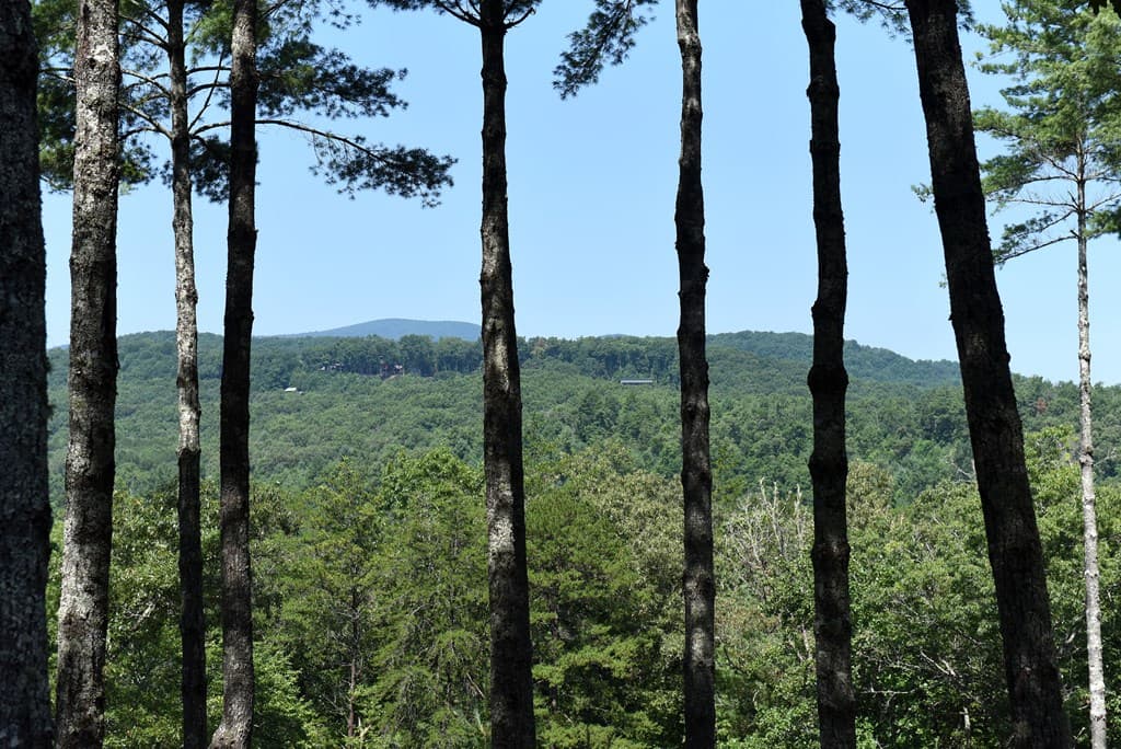121 Noontootla Trail, Blue Ridge GA 30513 - Photo