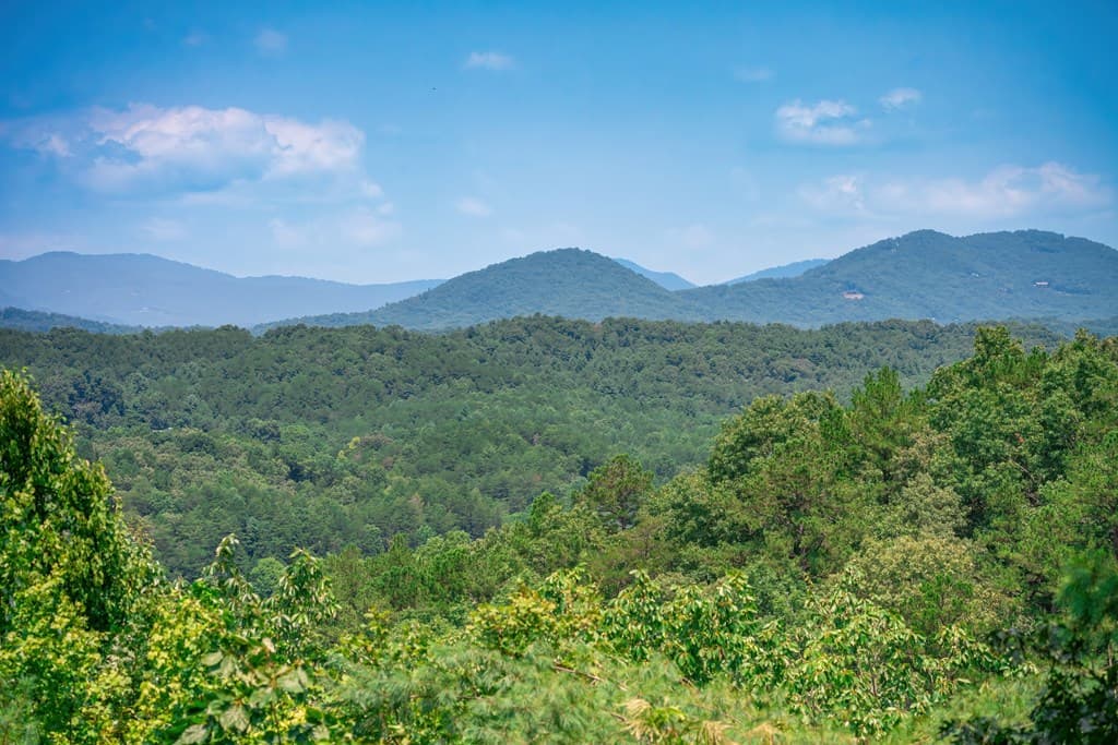 88 Down Yonder Road, Morganton GA 30560 - Photo