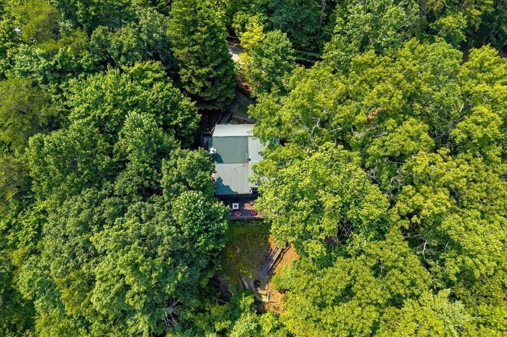 88 Down Yonder Road, Morganton GA 30560 - Photo