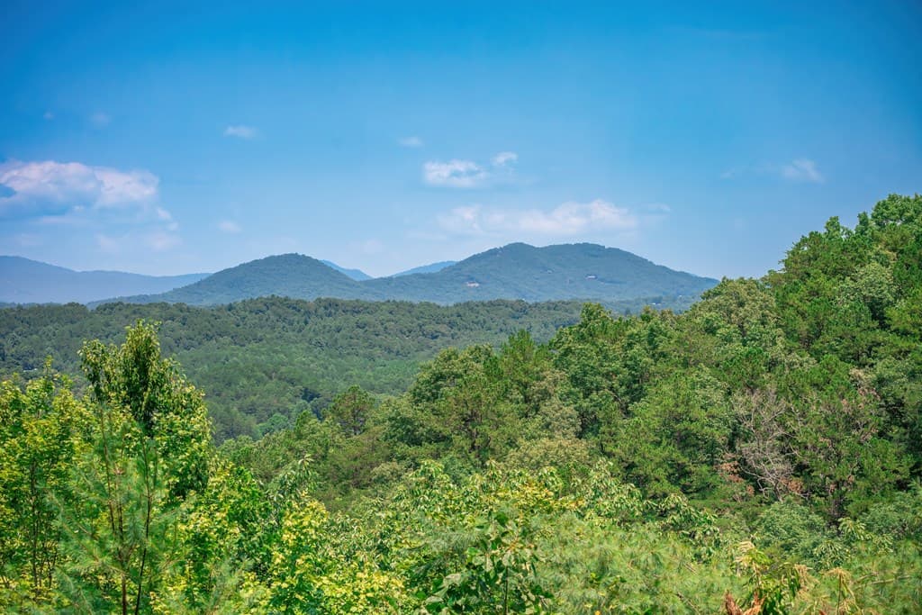 88 Down Yonder Road, Morganton GA 30560 - Photo