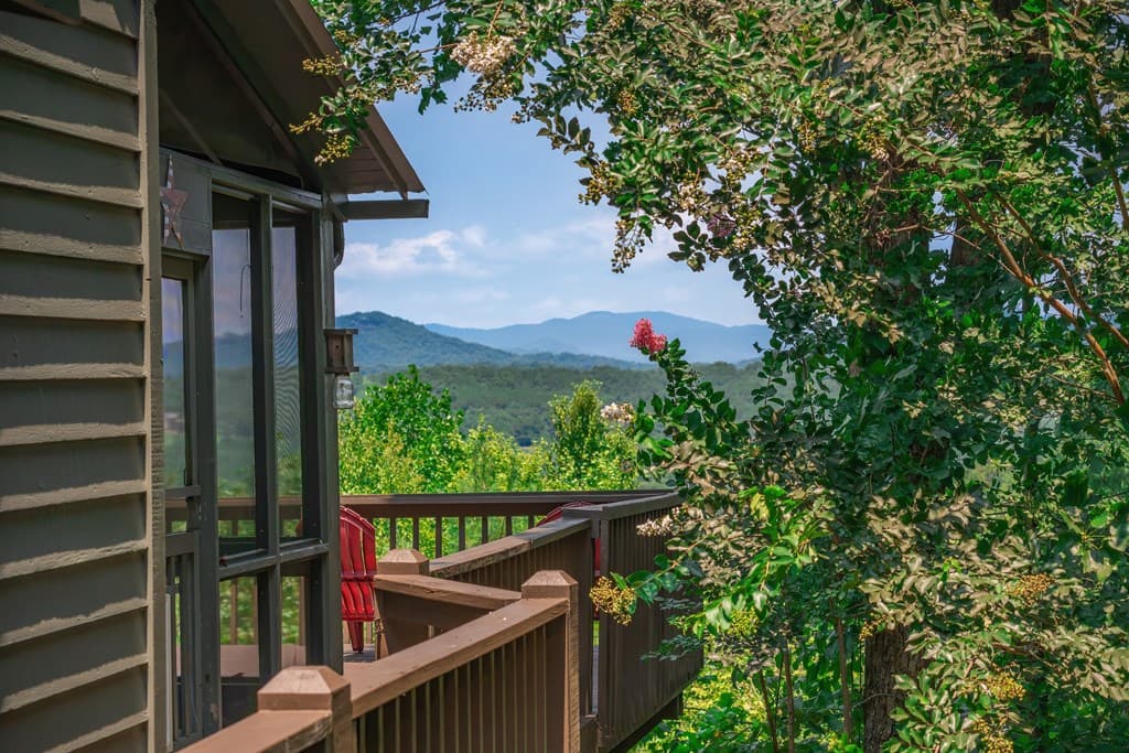 88 Down Yonder Road, Morganton GA 30560 - Photo