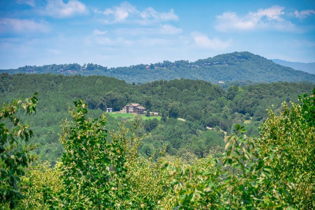 88 Down Yonder Road, Morganton GA 30560 - Photo