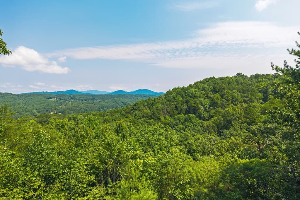88 Down Yonder Road, Morganton GA 30560 - Photo
