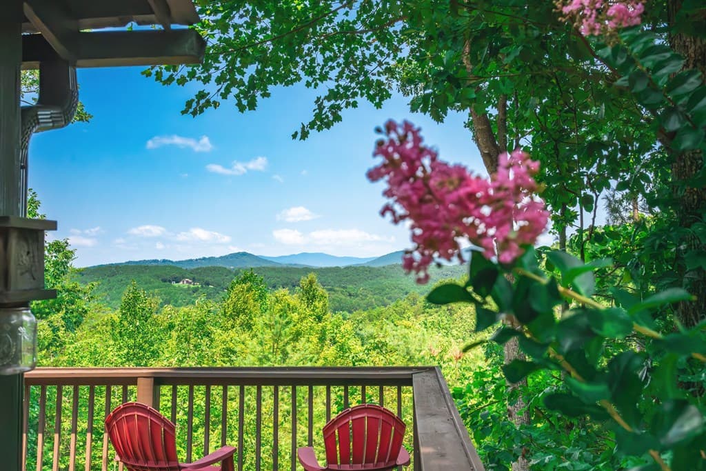 88 Down Yonder Road, Morganton GA 30560 - Photo