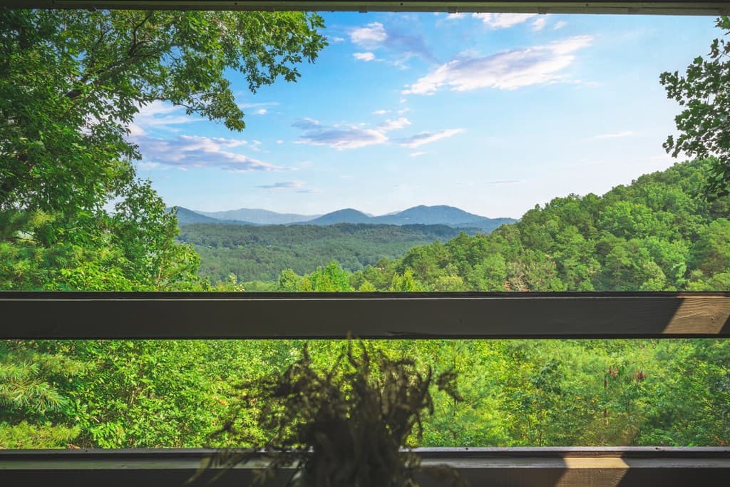 88 Down Yonder Road, Morganton GA 30560 - Photo