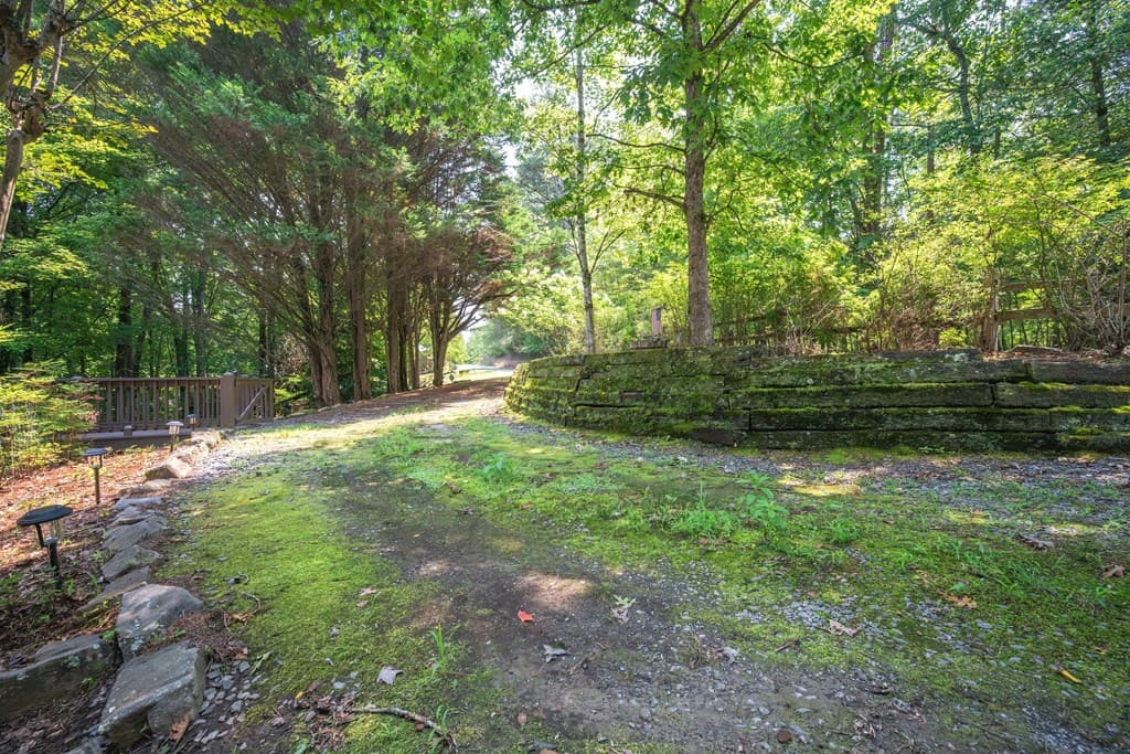 88 Down Yonder Road, Morganton GA 30560 - Photo