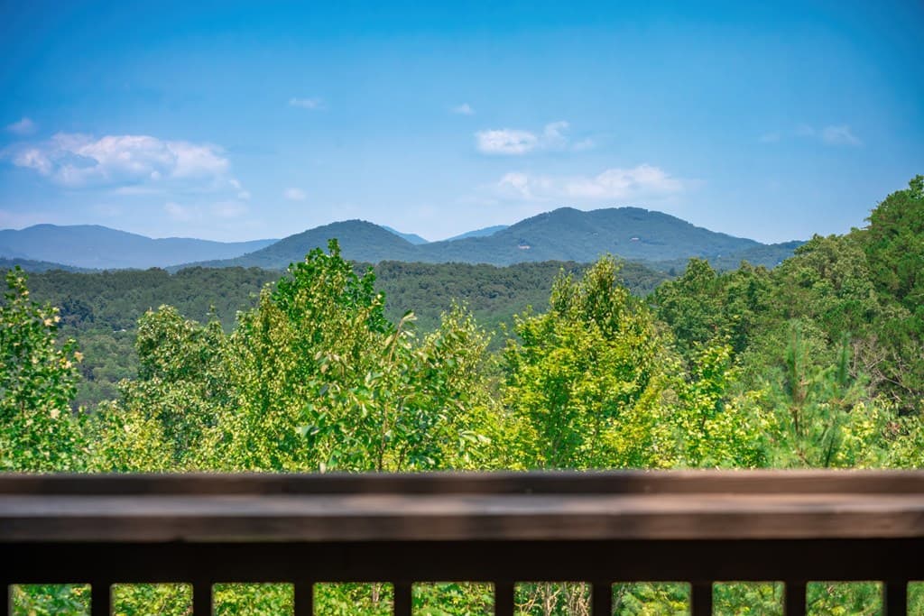 88 Down Yonder Road, Morganton GA 30560 - Photo