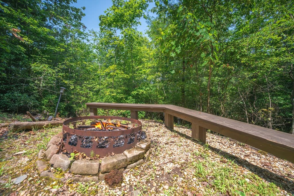 88 Down Yonder Road, Morganton GA 30560 - Photo
