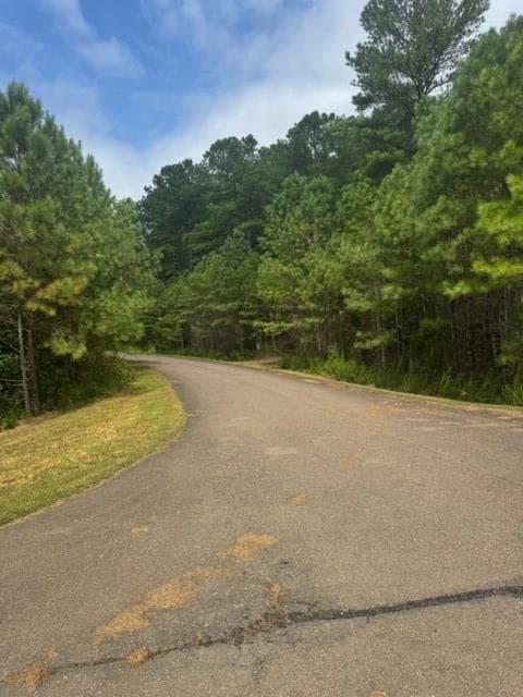 LT 43&44 Reece Mountain Road, Ellijay GA 30536 - Photo