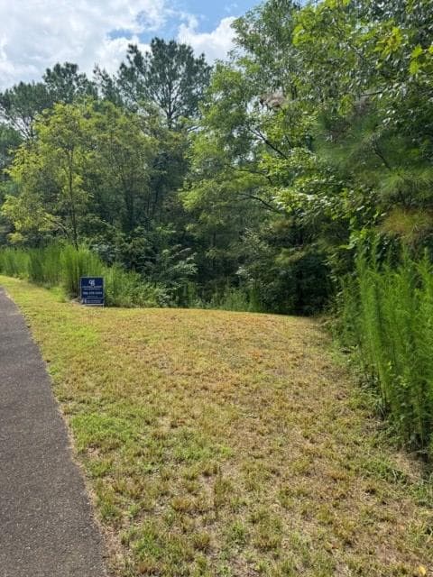 LT 43&44 Reece Mountain Road, Ellijay GA 30536 - Photo