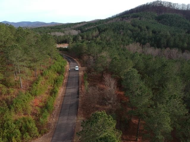 LT 43&44 Reece Mountain Road, Ellijay GA 30536 - Photo