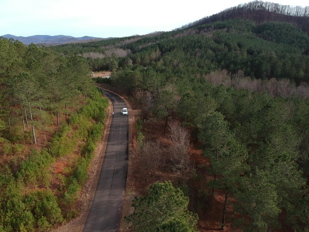LT 43&44 Reece Mountain Road, Ellijay GA 30536 - Photo