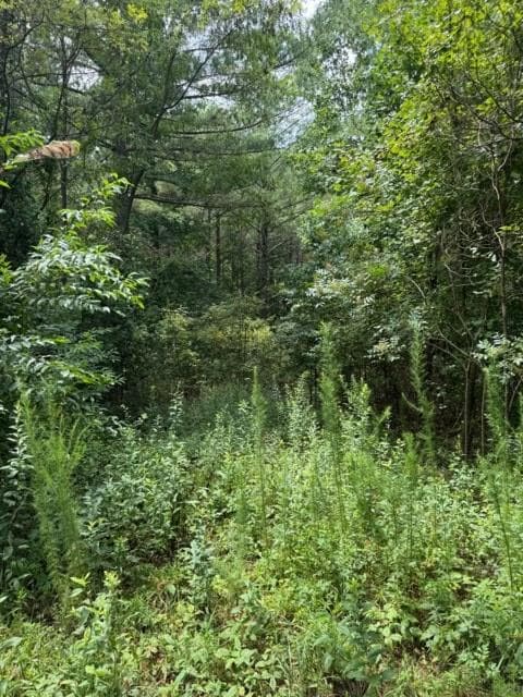 LT 43&44 Reece Mountain Road, Ellijay GA 30536 - Photo