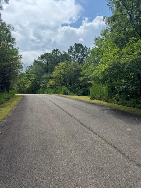 LT 43&44 Reece Mountain Road, Ellijay GA 30536 - Photo