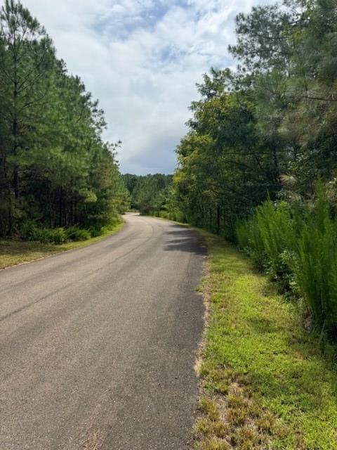 LT 43&44 Reece Mountain Road, Ellijay GA 30536 - Photo