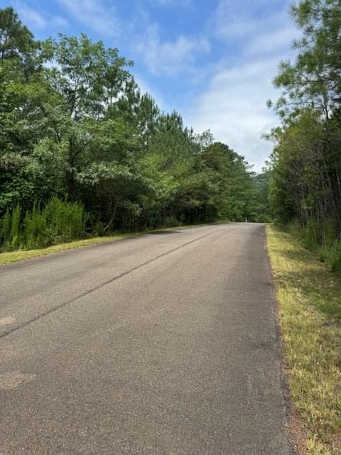 LT 43&44 Reece Mountain Road, Ellijay GA 30536 - Photo