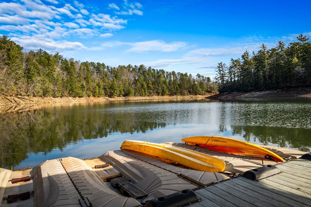 770 Fish Hook Point, Blue Ridge GA 30513 - Photo