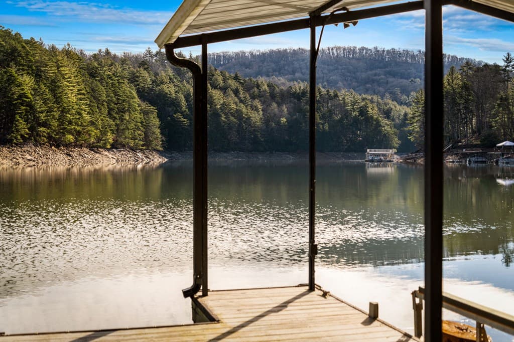 770 Fish Hook Point, Blue Ridge GA 30513 - Photo
