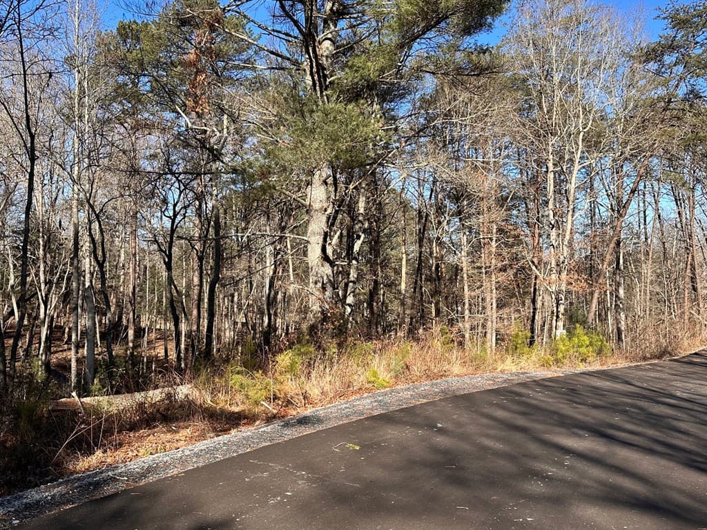 Lot 14 Fairview Way, Blue Ridge GA 30560 - Photo