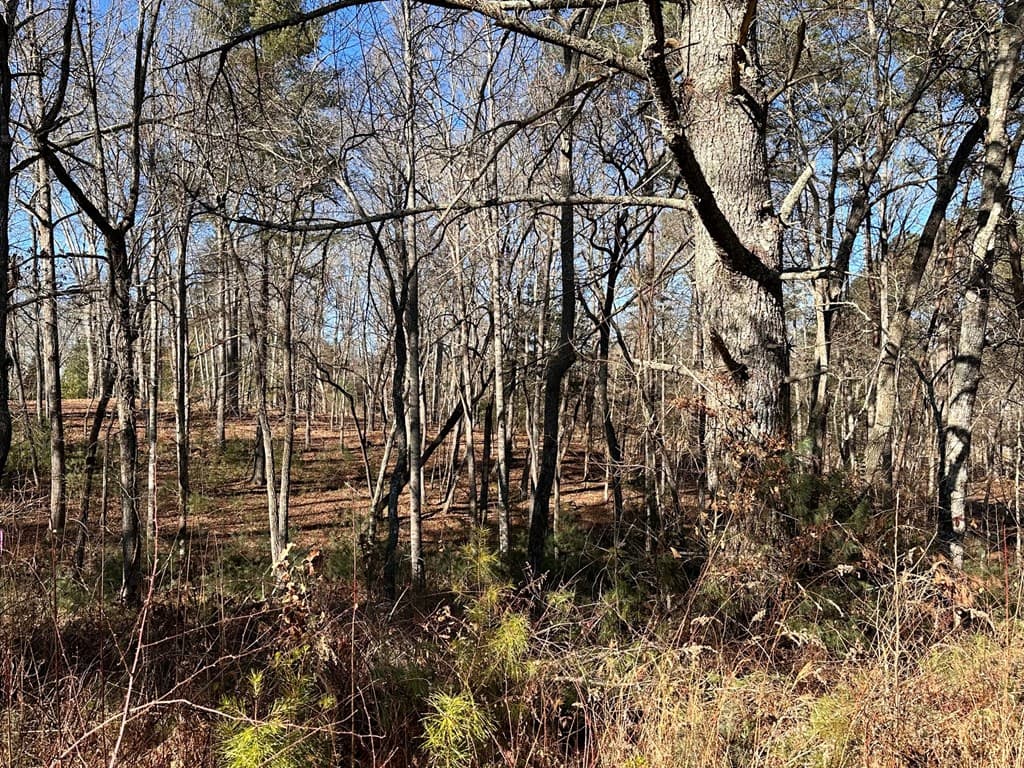 Lot 14 Fairview Way, Blue Ridge GA 30560 - Photo