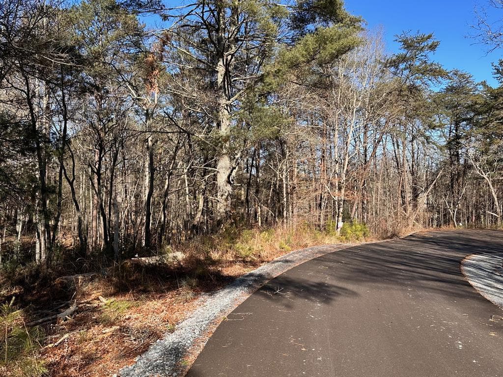 Lot 14 Fairview Way, Blue Ridge GA 30560 - Primary photo